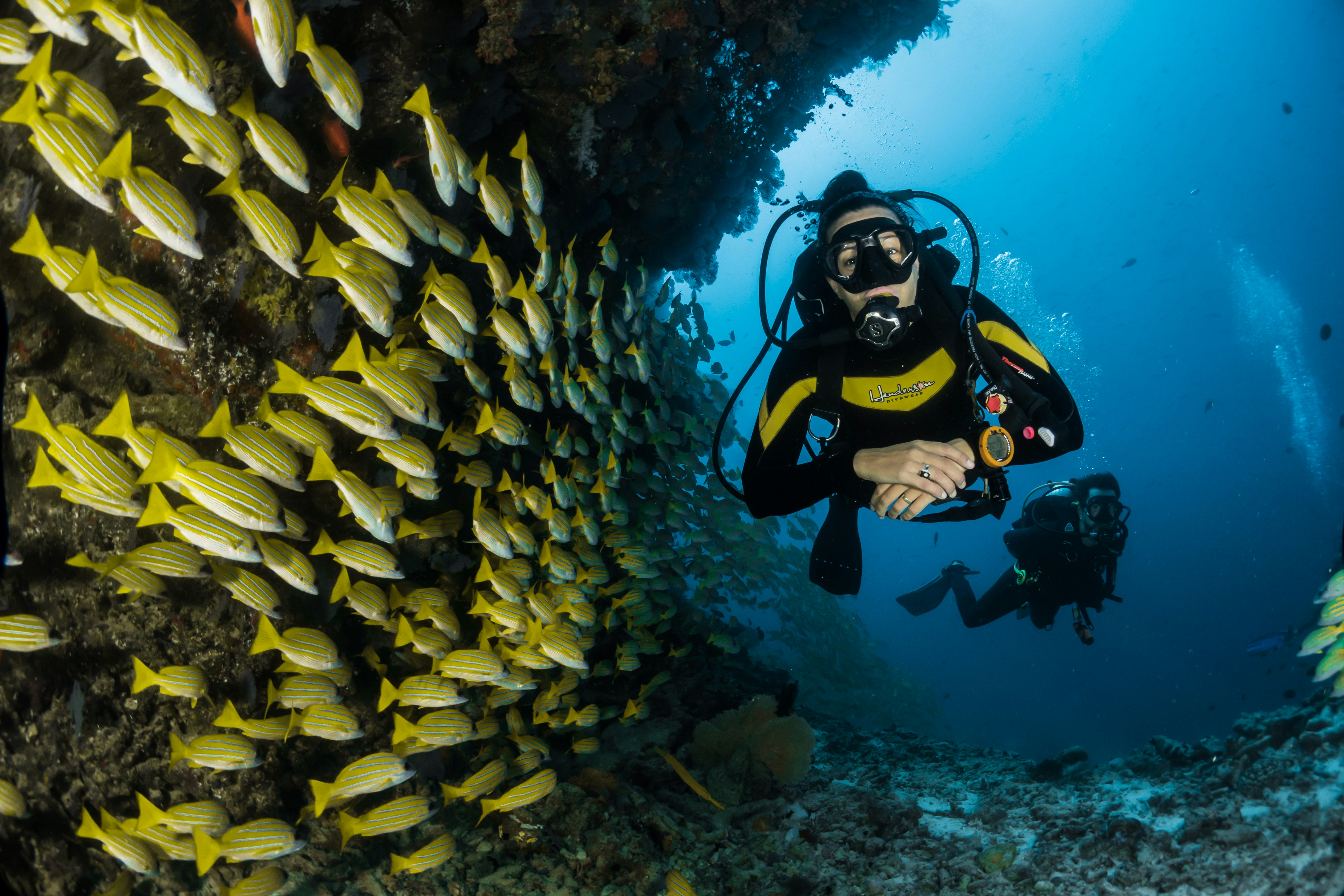 Diver over coral reef transect